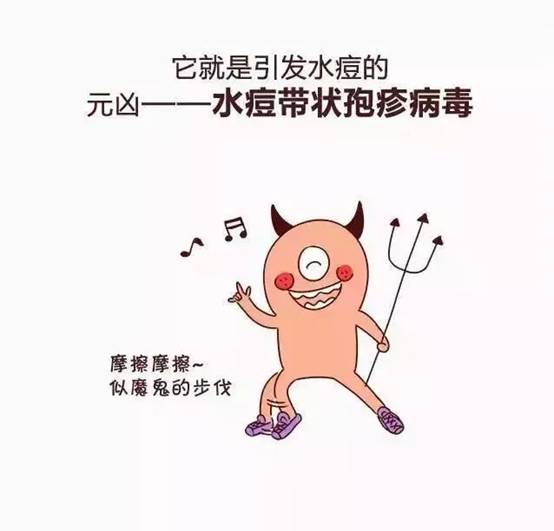 11.webp