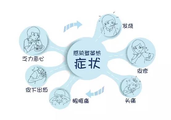 4.webp