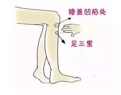 2.webp