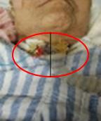 4254595161427684225140