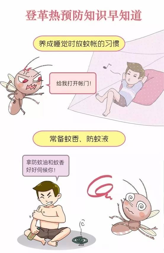 5.webp