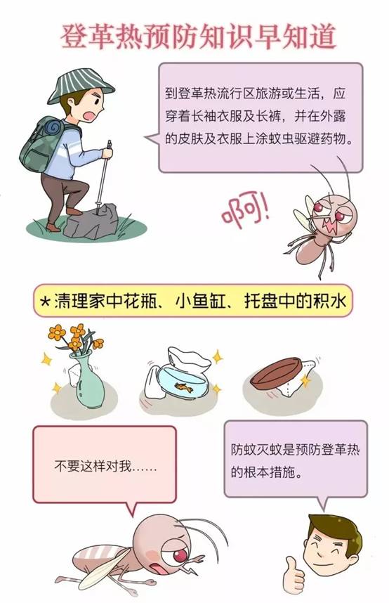 9.webp