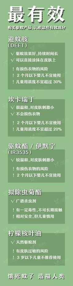8.webp