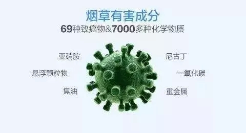 645.webp